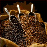 Coffee Bean