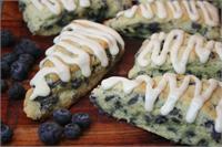 Gourmet Blueberry Tidbits