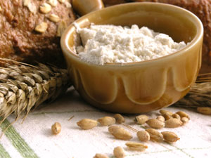 Hi-Country Wheat Gluten (Economy Size)