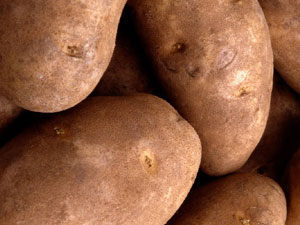 Premium Potato Flour (20 ounces)