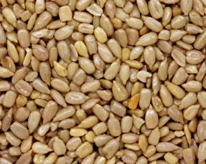 Premium Raw Sunflower Seeds (Special)